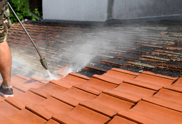 Best Local Pressure Washing Services  in Forreston, IL