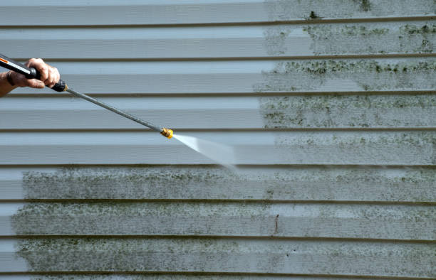 Best Sidewalk Pressure Washing  in Forreston, IL