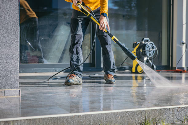 Best House Pressure Washing  in Forreston, IL