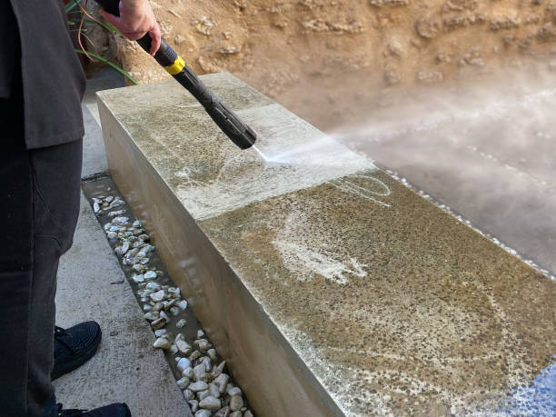 Best Roof Power Washing Services  in Forreston, IL