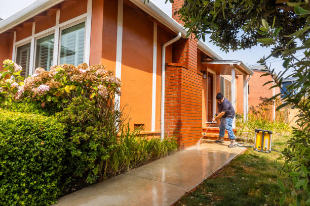  Forreston, IL Pressure Washing Pros