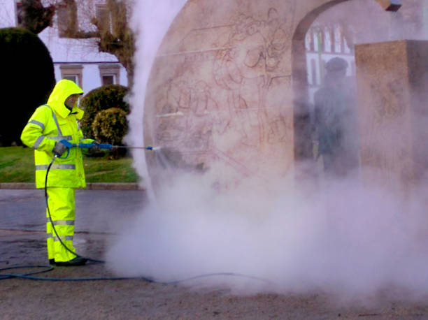 Best Roof Pressure Washing  in Forreston, IL
